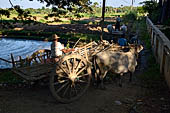 Myanmar - Inwa, ox driven cart